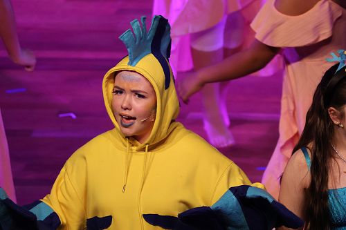 Flounder - Ariel's best friend