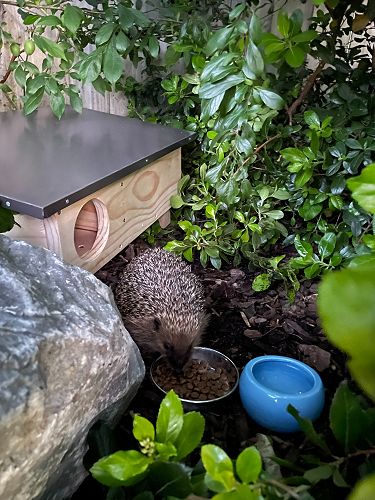 Living her best life