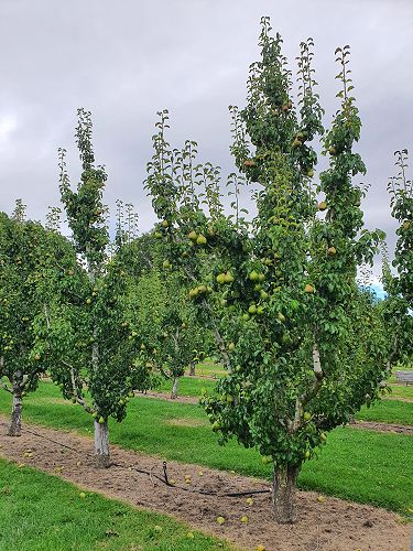 12FDN Central Otago Trip