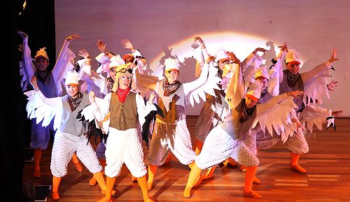 A fun and friendly flock of seagulls