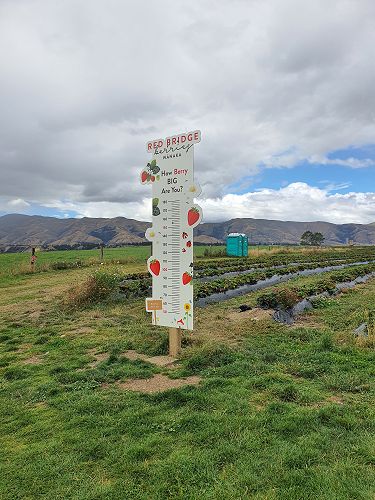 12FDN Central Otago Trip