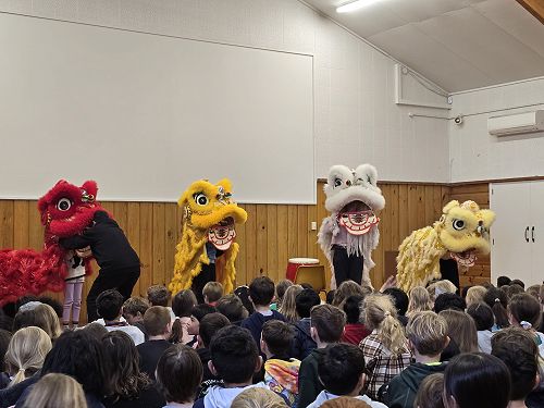 The Confucius Institute visited us for Chinese Language Week and showed us the Lion Dance.