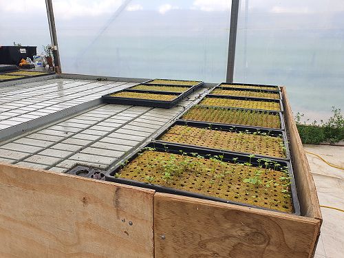 12FDN Central Otago Trip