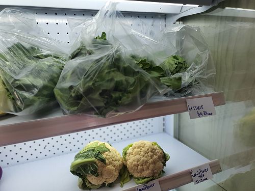 12FDN Central Otago Trip