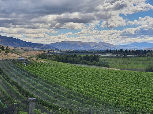 12FDN Central Otago Trip