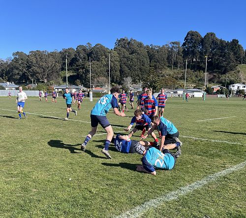 Maddox C hunting for the ball