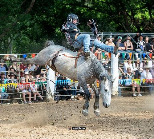 Rodeo teams Australian experience