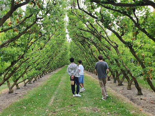 12FDN Central Otago Trip