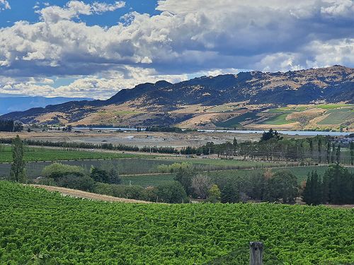 12FDN Central Otago Trip