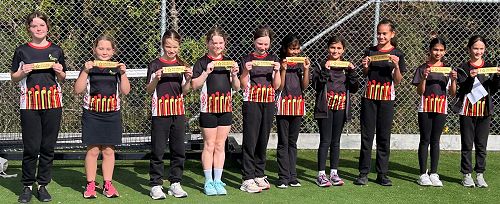 The Amesbury netball tournament team - winning team!