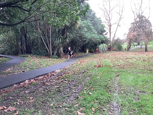 2024 Senior Cross Country