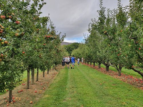 12FDN Central Otago Trip