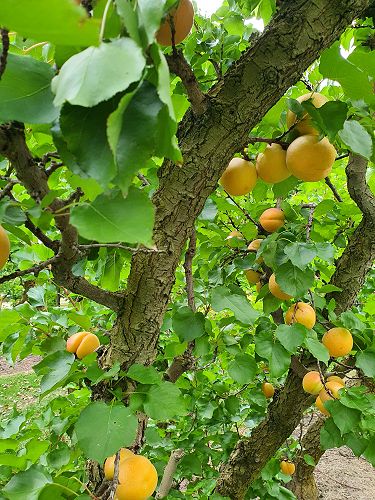 12FDN Central Otago Trip