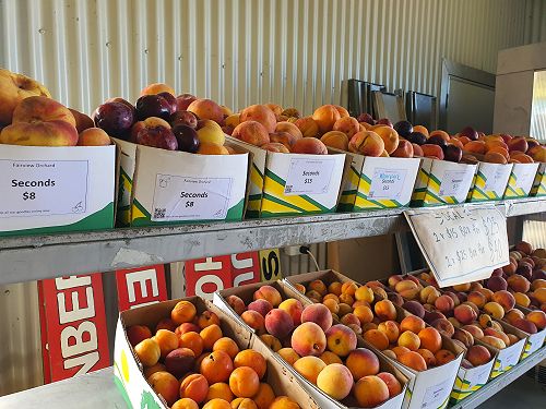 12FDN Central Otago Trip