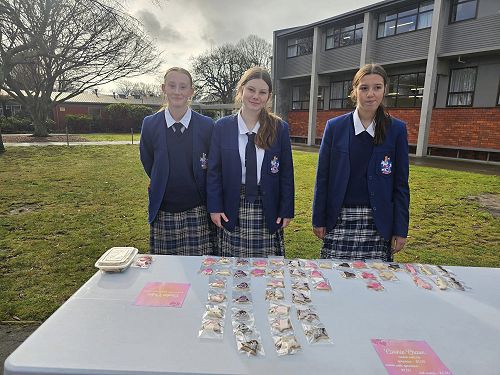 Accounting, Commerce and Fiancial Literacy