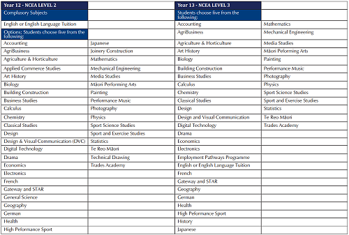 PNBHS Subject Options