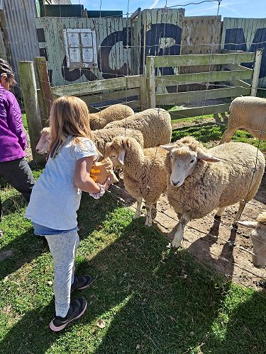 Romy and Eleana activities