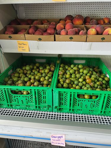 12FDN Central Otago Trip