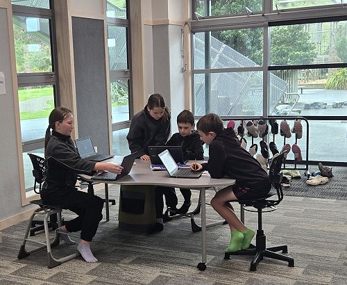 Collaborative work in Pōhutukawa