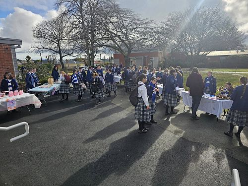 Accounting, Commerce and Fiancial Literacy