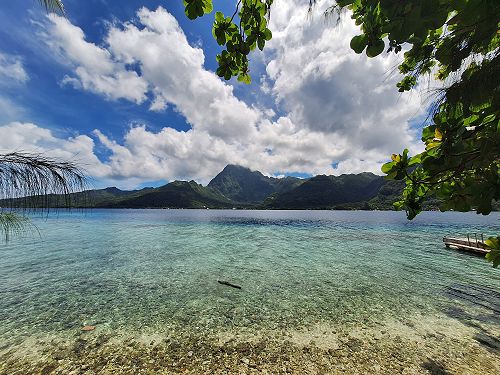 French Trip to Tahiti