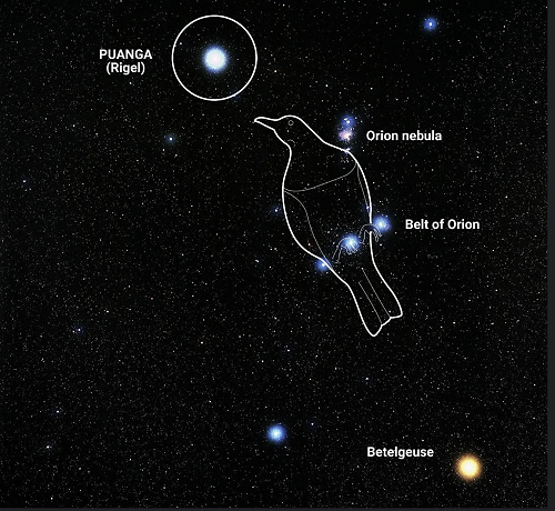 Puaka (Rigel) is part of the Orion constellation.