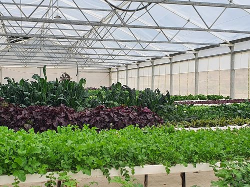 12FDN Central Otago Trip