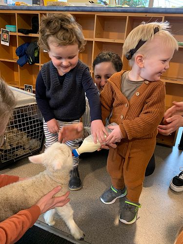 Henry and Oscar feeding the lamb at Prebbleton