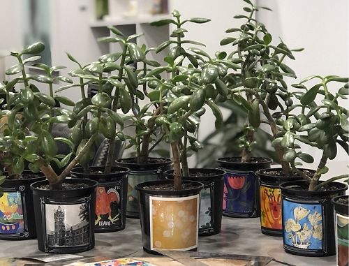 Gallery De Novo Plant and Art Fundraiser