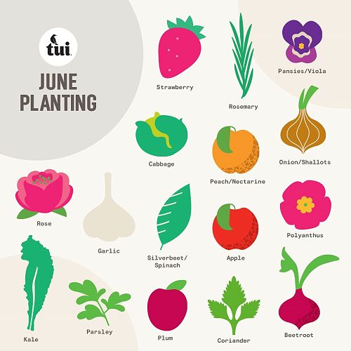 June Planting
