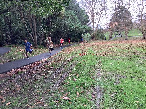 2024 Senior Cross Country