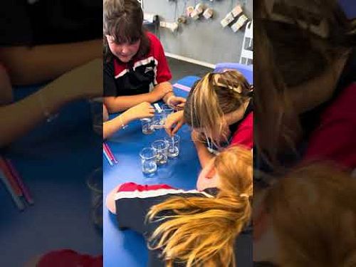 Video: Science in Kōtuku