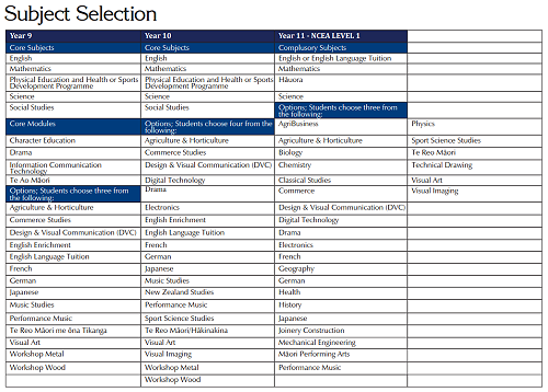 Subject Options Y9-Y11