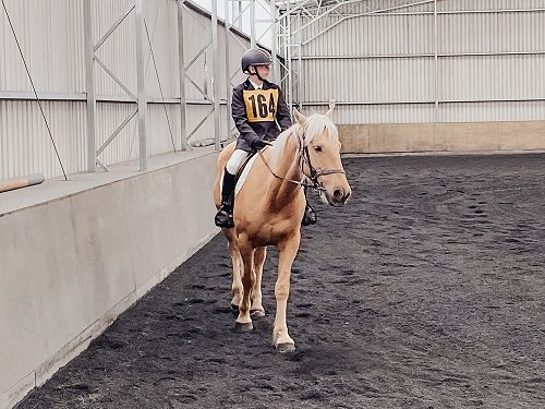 Carter foot riding the horse sailor for his dressage test