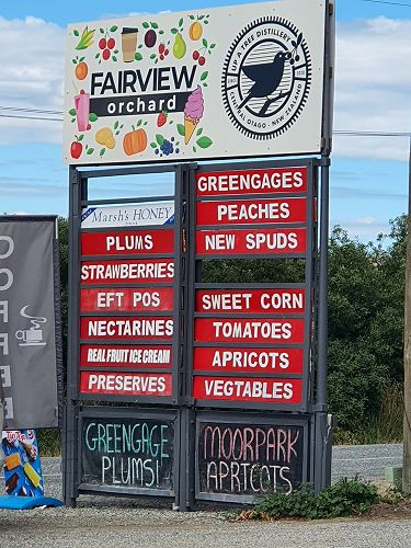 12FDN Central Otago Trip