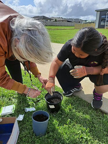 Planting Seeds for the School Garden - Rangi