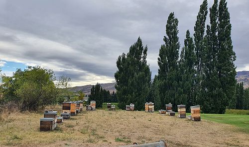 12FDN Central Otago Trip