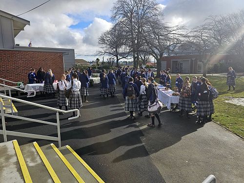 Accounting, Commerce and Fiancial Literacy