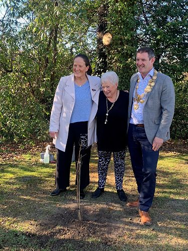 Old Girl's donate a Kōnini Tree