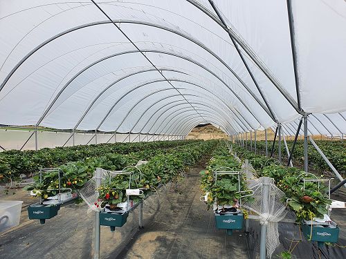 12FDN Central Otago Trip