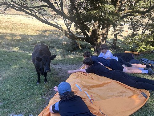 A week at camp with 10Y