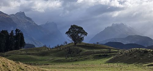 Looking towards the Beans Burn from Prydes Camp, Paradise.