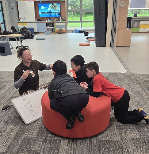 Small group literacy in Pōhutukawa
