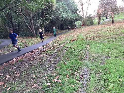 2024 Senior Cross Country