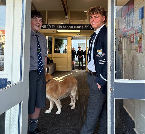 Week 6 Hostel Update