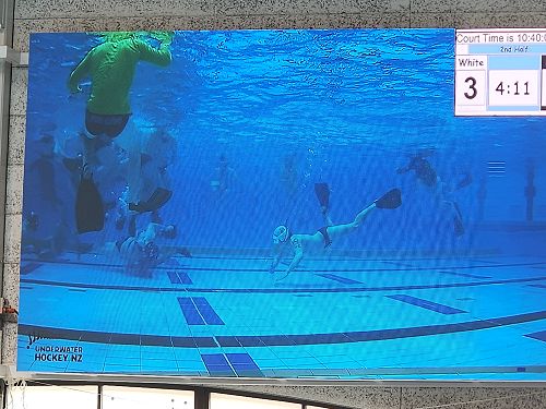 NZSS Underwater Hockey Champs & Cup