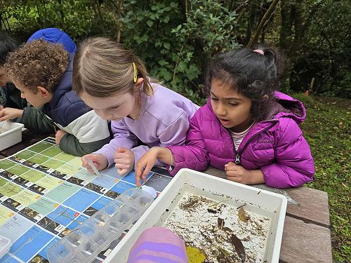Our Kōwhai (Year 0/1) students enjoying an Enviro Schools connection day.