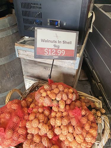 12FDN Central Otago Trip