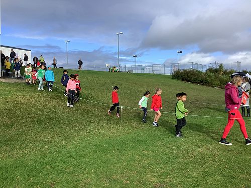 2024 Junior Cross Country