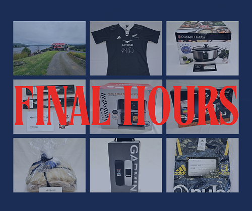 2025 Silent Auction - final hours!